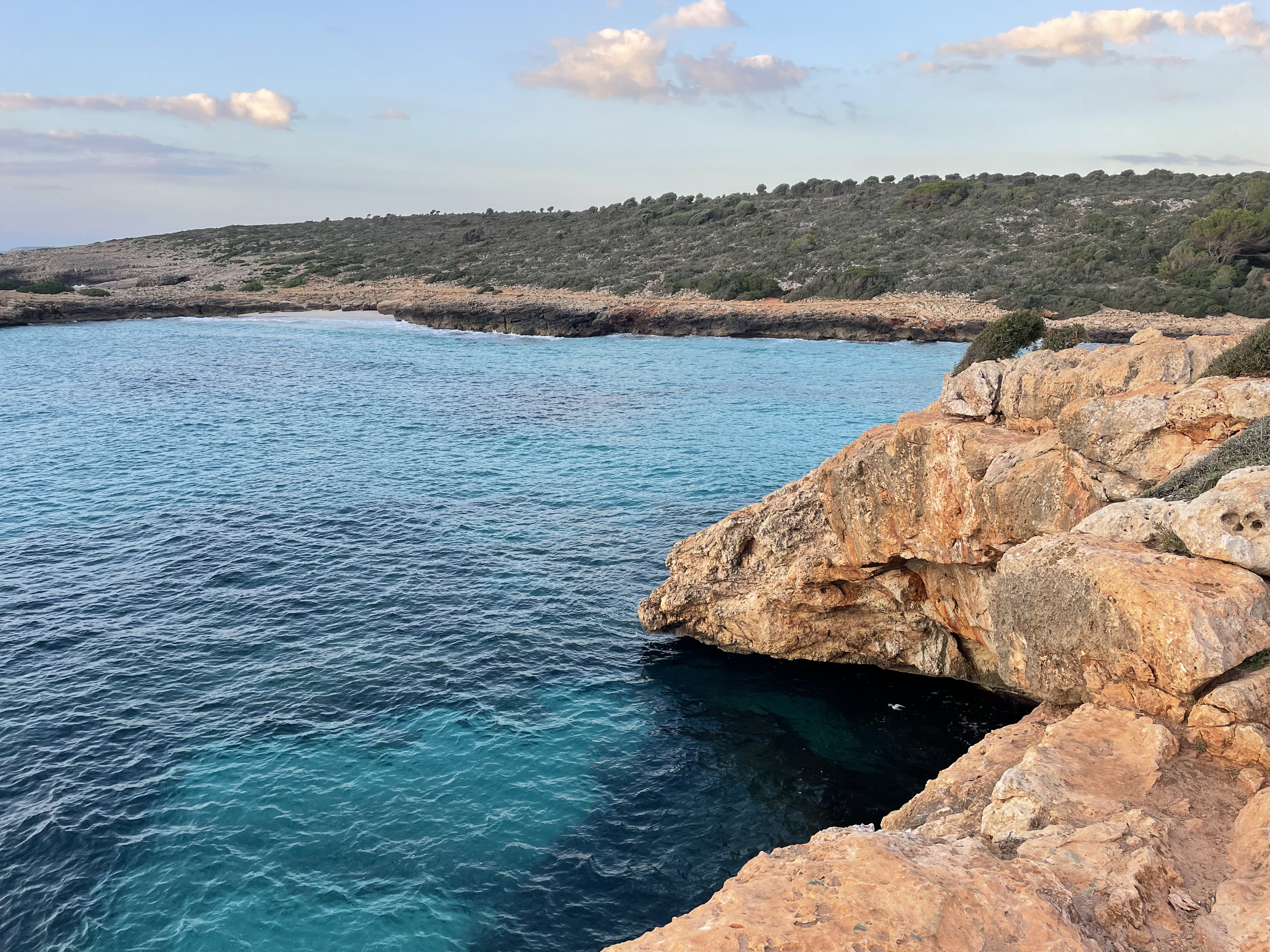 Cala